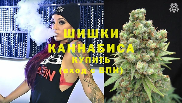 стаф Михайловск