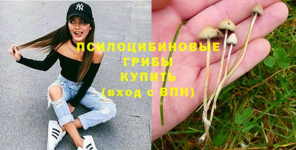 мдпв Михайловка