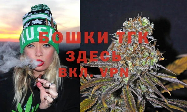 стаф Михайловск