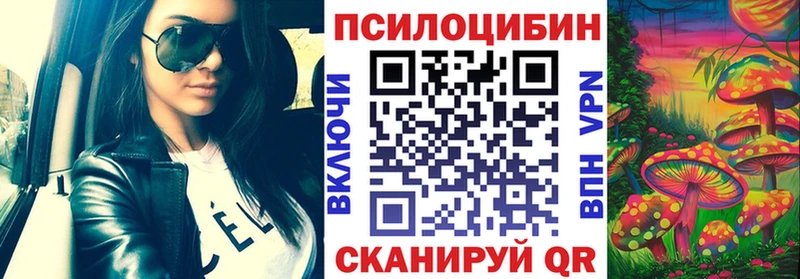 Псилоцибиновые грибы Cubensis цены Россошь