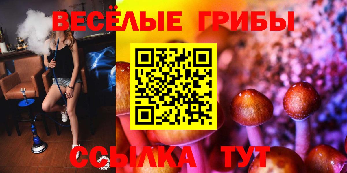 Псилоцибиновые грибы GOLDEN TEACHER  Вход с VPN  как найти закладки  Россошь 