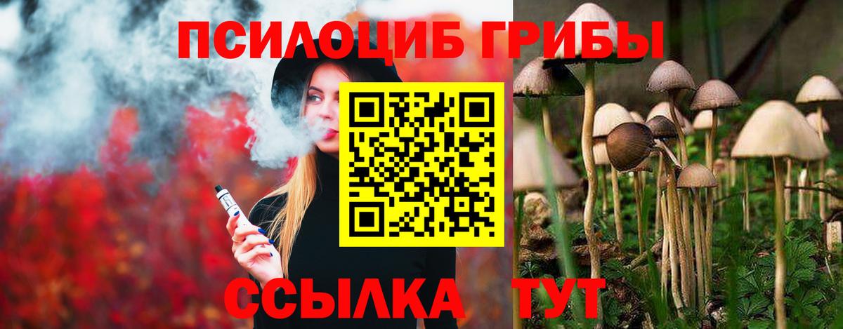 Псилоцибиновые грибы прущие грибы Россошь